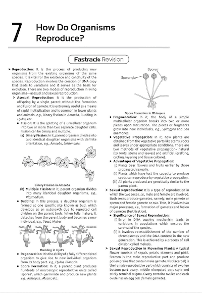 Class 10 How Do Organisms Reproduce Full Chapter Fastrack FullMarks PDF CBSE | PDFWallah - Class 10 Science PDF Cover