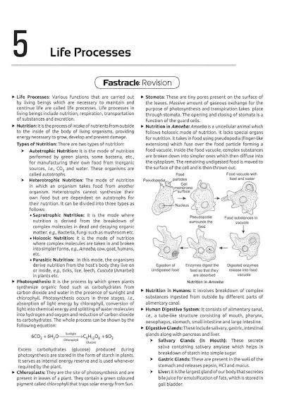Class 10 Life Processes Full Chapter Fastrack FullMarks PDF CBSE | PDFWallah - Class 10 Science PDF Cover